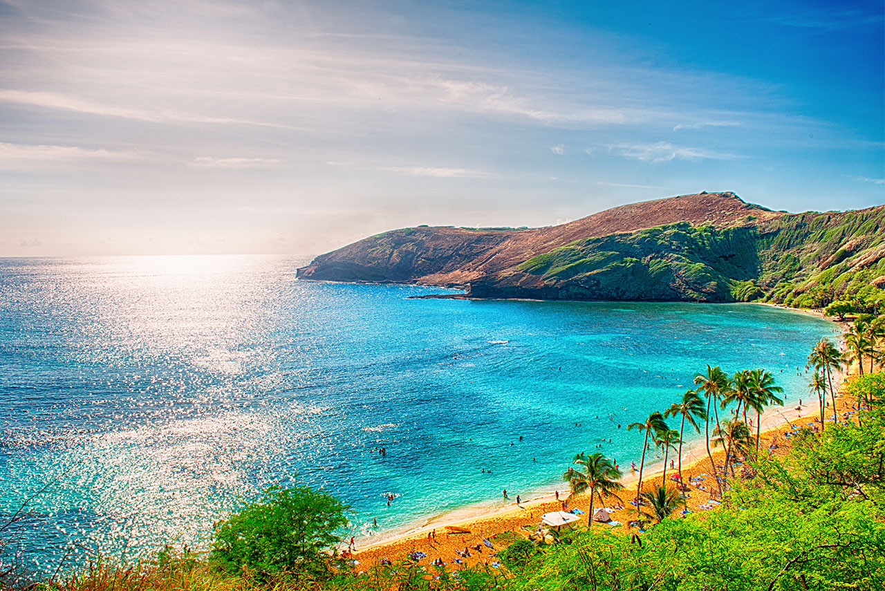 dcmaui-1280x855